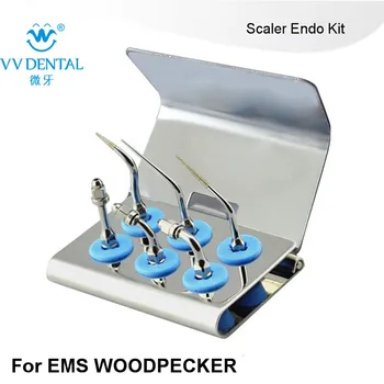 1 sæt EEKS Scaler Endo Kit Dental ultralyd piezo scaler endo tips Sølv Endo tip til EMS dental scaler endodontics