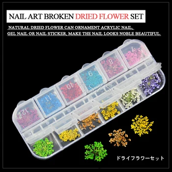 1 sæt /parti Rigtig Tør Tørret Blomst til 3D UV Gel Falske Akryl Nail Art Tips Salon