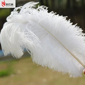 10 STK naturlige hvide strudsefjer 45-50 cm / 18 til 20 inches struds fjerdragt performance hue tøj temaet dekoration