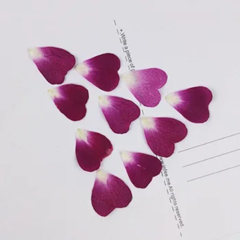 100pcs 1cm Hjerte Form Trykket Tørret Rose Blomst Kronblade Til Smykker Halskæde Hjem Håndværk DIY Tilbehør