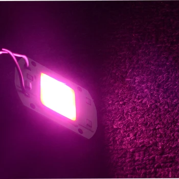 10STK AC220V 110V 30W 20W 50W Førerløse COB LED Full Spectrum LED-Lys Vokse Chip Smart IC Hydroponics DIY Vokse Lys For, at Anlægget
