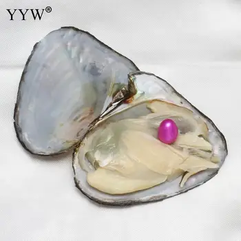 10stk/Masse 9-9.5 mm akoya østers perler Ris perler østers Farvet Perler, Smykker at Gøre individuelt indpakket Fødselsdag, Bryllup Gave