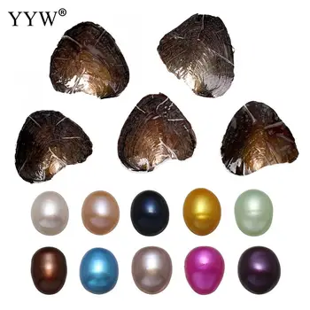 10stk/Masse 9-9.5 mm akoya østers perler Ris perler østers Farvet Perler, Smykker at Gøre individuelt indpakket Fødselsdag, Bryllup Gave