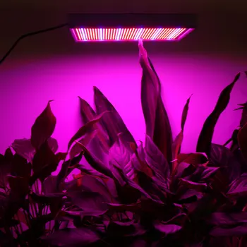 120W 1131Red+234Blue AC85~265V LED Plant Grow Light Lamper Til Blomstrende Plante, og Hydroponics System