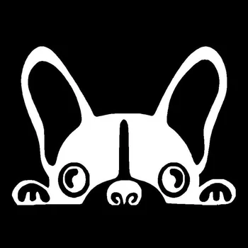 15.2*10.8 CM Boston Terrier, Dog Vinyl Decal Søde Sjove Peep Dyr Bil Hale Dekorative Stickers Sorte/Splint C6-1034