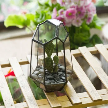 15cm Hjem Lille Have Uregelmæssige Saftige Planter Plantning Glas Flower Pot Desktop Dekoration Vase Glas Geometriske Terrarium DIY