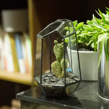 15cm Hjem Lille Have Uregelmæssige Saftige Planter Plantning Glas Flower Pot Desktop Dekoration Vase Glas Geometriske Terrarium DIY