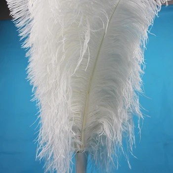 2018NEW 10STK strudsefjer naturlige hvide struds fjerdragt 50-55 cm / 20 til 22 inches bryllup performance kunst temaet dekoration