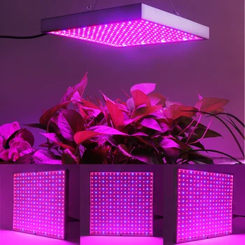 20W/30W/120W LED Plante Vokser Panel Lys Hydroponics Lamper AC85-265V SMD3528 For handel Blomstrende Plante Indendørs Grow Box