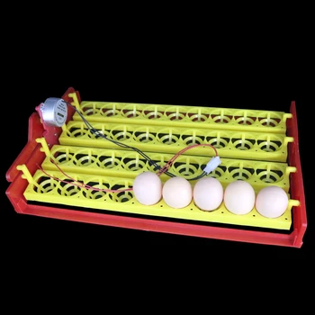 36 Æg Inkubator Automatisk Inkubator Automatisk Slå Æg Skuffe Inkubation Eksperiment Undervisningsmateriale 4 * 9 Huller