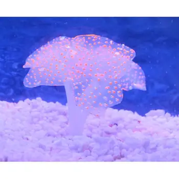 5 Farve Akvarium Kunstige Sucker Coral Silikone Plante Ornament Med Sugekop Vand Landskab Indretning Akvarium Tilbehør