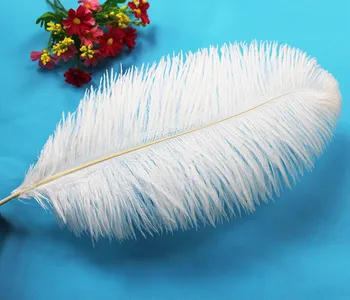 50 STK naturlige hvide strudsefjer 45-50 cm / 18 til 20 inches struds fjerdragt performance hue tøj temaet dekoration