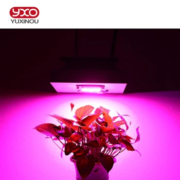 50W 100W 150W 200W DIY COB AC-LED-Grow Light Fulde Spektrum Hydroponics LED Plante Vokser Lys til Indendørs Planter, der Vokser Blomstrende