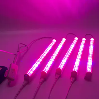 5Pcs/Set-LED T5 Plant Vækst Lys Fylde Lilla Lampe Have Drivhuse Vokse Belysning OS Plug