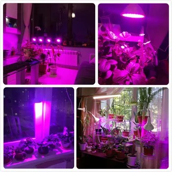 60 126 200 Led Plant Grow Light Fleksibel Lampe Holder Klip Blomst blomstre Vækst belysning, Stigende til Mine drivhus hydroponics
