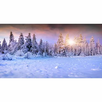 Allenjoy nyfødt fotografering baggrund Vinter sne skov solen smuk drøm foto studio photobooth høj kvalitet ikke sløret