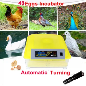 Automatisk Æg Inkubator 48 Digital Klart, Æg Dreje Temperatur Kontrol Gård Rugeri Maskine kylling æg Hatcher Brooder