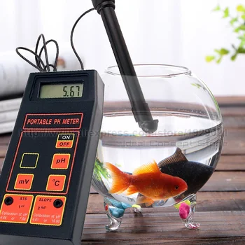 Bærbare pH ORP Temperatur Måleren kan Udskiftes BNC-Elektrode Swimmingpool Dam Akvarium