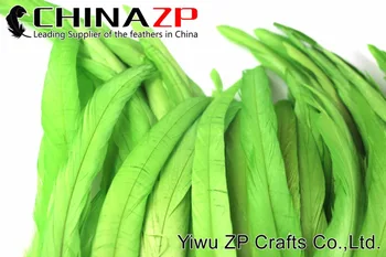 CHINAZP Fabrik 200 stykker/lot 25 til 30 cm Længde Farvet Kalk Grøn Engros grizzly Hane Fjer