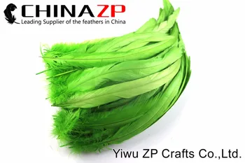 CHINAZP Fabrik 200 stykker/lot 25 til 30 cm Længde Farvet Kalk Grøn Engros grizzly Hane Fjer