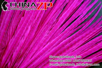 CHINAZP Fabrik, Engros Billige 100pcs/lot 20-22inch(50-55cm) Længde Smuk Farvet Hot pink Ringneck Pheasant Tail Feather