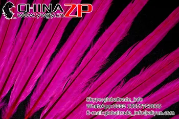 CHINAZP Fabrik, Engros Billige 100pcs/lot 20-22inch(50-55cm) Længde Smuk Farvet Hot pink Ringneck Pheasant Tail Feather