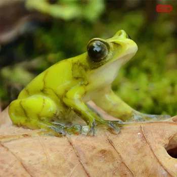 DAGLIGDAGS SAMLING harpiks Frog håndværk mini polyresin dyr have miniature figurer frøen på bladet statue