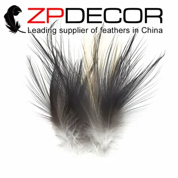 Detail-og Engroshandel fra ZPDECOR 50pieces/lot 15-20cm(6-8inch) Top Kvalitet Sjældne og Specielle Naturlige Fiskehejre Fjer Fjer