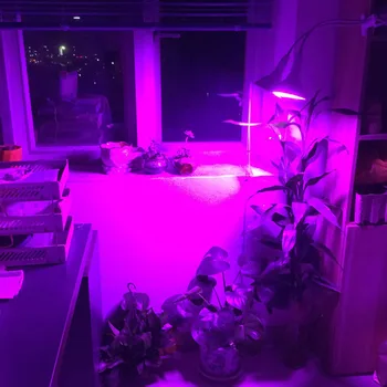 E27 290 LED Plant Grow Light Dual Lamp Fuld Spektrum Pære + Desk Holder Klip sæt Hydroponic for Frø Blomst Grøntsager Belysning