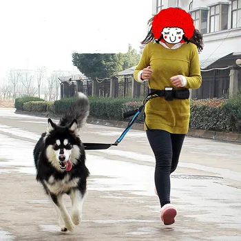 Elastisk bælte, der Kører Store hund i snor føre sport jogging, walking stor hund krave reb Morgen køre hånd fri talje hundesnor sæt