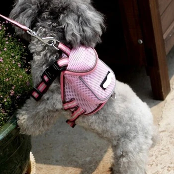 Fashion Sport Hund Rygsæk Luksus-Mesh-Pink Og Hvalpe Små Dyr Skole Taske Med Snor Indstillet Til Chihuahua Yorkshire