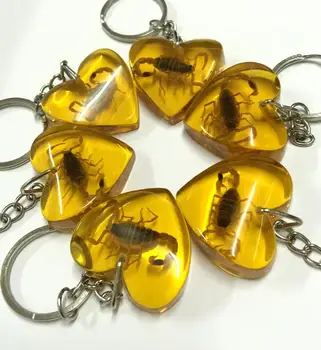 GRATIS levering 6 Stykke trendy gul dejlige hjerte fast scorpion nøglering