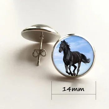 Hest øreringe, store dyr, der Smukke udseende med sort pels øreringe glas Foto Heste Smykker øreringe