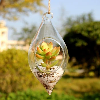 Hængende Glas Vase Hængende Terrarium Hydroponiske 6*13cm/2.4*5