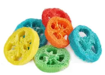Høj kvalitet cany farve luffa svamp papegøje tyggelegetøj fugl legetøj 50stk/masse mix farve gratis fragt