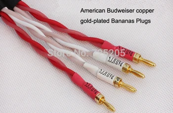 IWISTAO HIFI Højttaler-Kabel med Japan Oprindelse Canare 4S12F Amerikanske Budweiser Kobber-Guld-forgyldt Banan Y Plug 1-3.5 M DIY