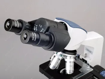 Kikkert Sammensat Mikroskop--AmScope Forsyninger 40X-2500 X LED Digital Kikkert Sammensat Mikroskop w 3D-Fase + USB-5MP Kamera