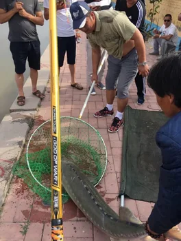Kæmper hårdt for vold stør fiskestang superhard Taiwan fiskestang 4.5-10M Fange store fisk trække på i vægt 8-10 kg