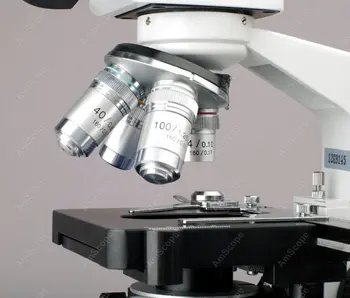 LED Digital Monokulare Sammensat Mikroskop--AmScope Forsyninger 40X-2500 X LED Digital Monokulare Sammensat Mikroskop med 3D-Scene