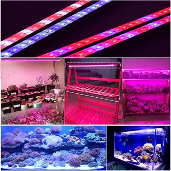 LED Lys Akvarium DC12V IP68 Vandtæt 5630 LED vækst Lys i Akvariet Drivhus Plante, der Vokser 5pcs/masse