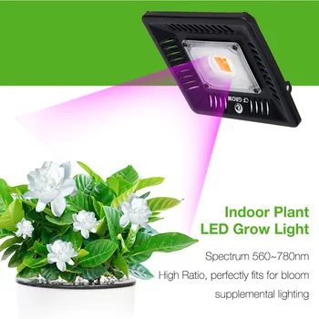 Led vækst Lys Fulde Spektrum 100W 200W Vandtæt IP67 COB Vokse LED Lampe for Plante Indendørs / Udendørs Hydroponiske Drivhus Belysning