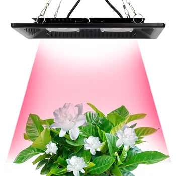 Led vækst Lys Fulde Spektrum 100W 200W Vandtæt IP67 COB Vokse LED Lampe for Plante Indendørs / Udendørs Hydroponiske Drivhus Belysning