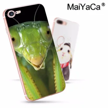 MaiYaCa Dyr mantis Fantastiske nye ankomst telefonen tilfælde dække for iPhone 8 7 6 6S Plus X 10 5 5S SE 5C 4 4S Coque Shell