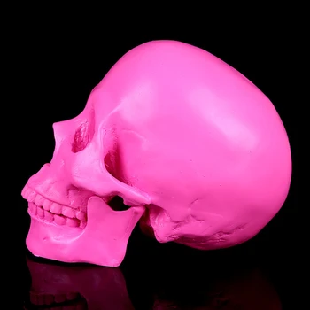 Menneskelige Gold Skull 1:1 Voksen Størrelse Harpiks Kraniet Replica Medicinske Model, Harpiks Håndværk Kraniet Til Dekorative Hjem