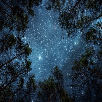 Miracille Smuk Nattehimmel Vægtæpper Hjem Dekorationer Væggen Hænger Skov Stjerneklar Nat Gobeliner Til Stue, Soveværelse