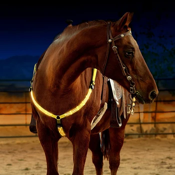 MOYLOR Hest Brystskjoldet Dobbelt LED-Hest Seletøj Nylon Nat Synlige Ridning Udstyr Racing Equitation Cheval Bælte C