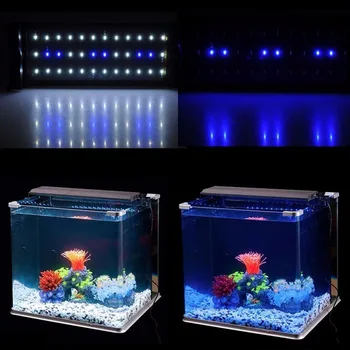Nicrew 28-50cm Akvarium LED-Belysning Fisk Tank Lampe med Udtrækkelige Beslag 30 Hvid 6 Blå Led ' er Passer til Akvariet