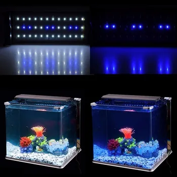 Nicrew 30-92cm 100-240V Akvarium LED-Belysning Fisk Tank Lampe med Udtrækkelige Beslag, Hvid og Blå Lysdioder Egnet til Akvarium