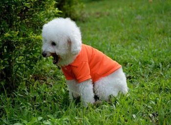 Ny hund sommer tøj Cool Hvalp Hunde ensfarvet T-Shirts Tøj Doggy Tøj Størrelse XS S M L XL dog sommer-shirts