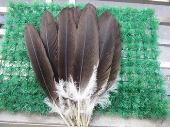 Nye!10 pc-kvalitet, naturlige eagle fjer, 15-20 cm / 37-50cm lang, DIY smykker dekoration